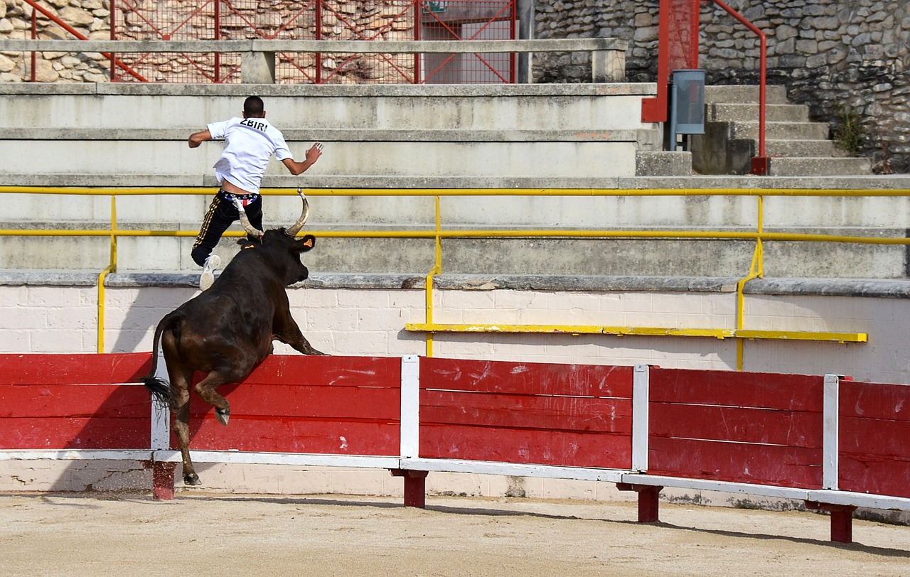 为李盈莹敲