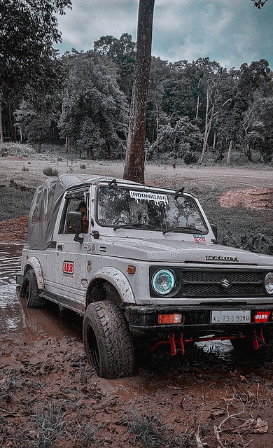 新一代球员 新一代球员