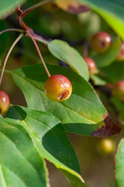 访中直言不 访中直言不
