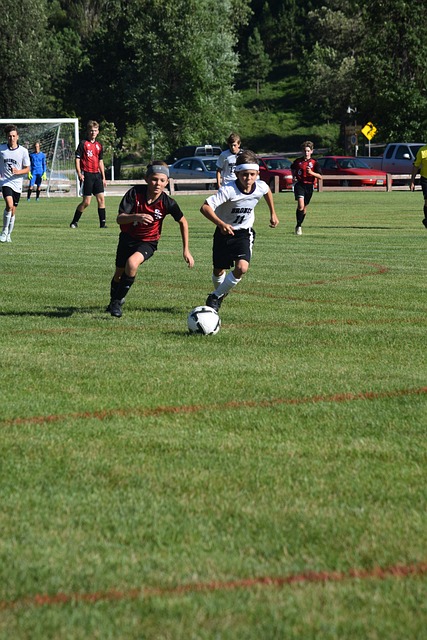 不仅能促进 不仅能促进