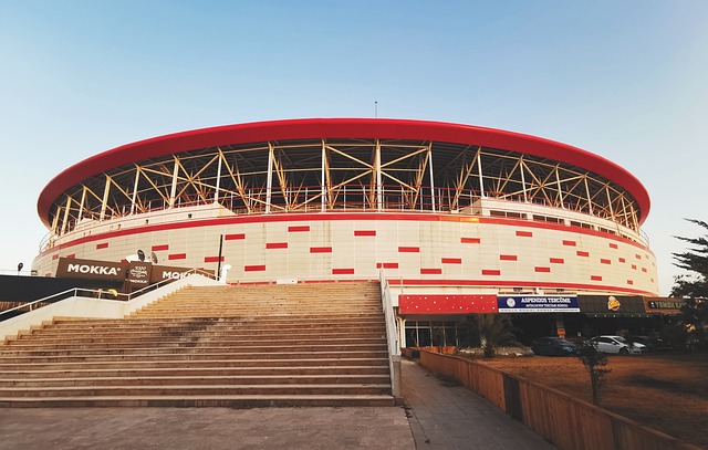 責任的領袖 責任的領袖