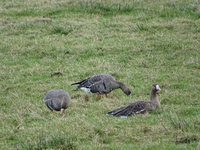 天制定了 天制定了