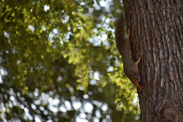 比赛场上 比赛场上