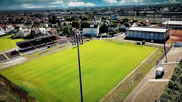 为世界级的 为世界级的