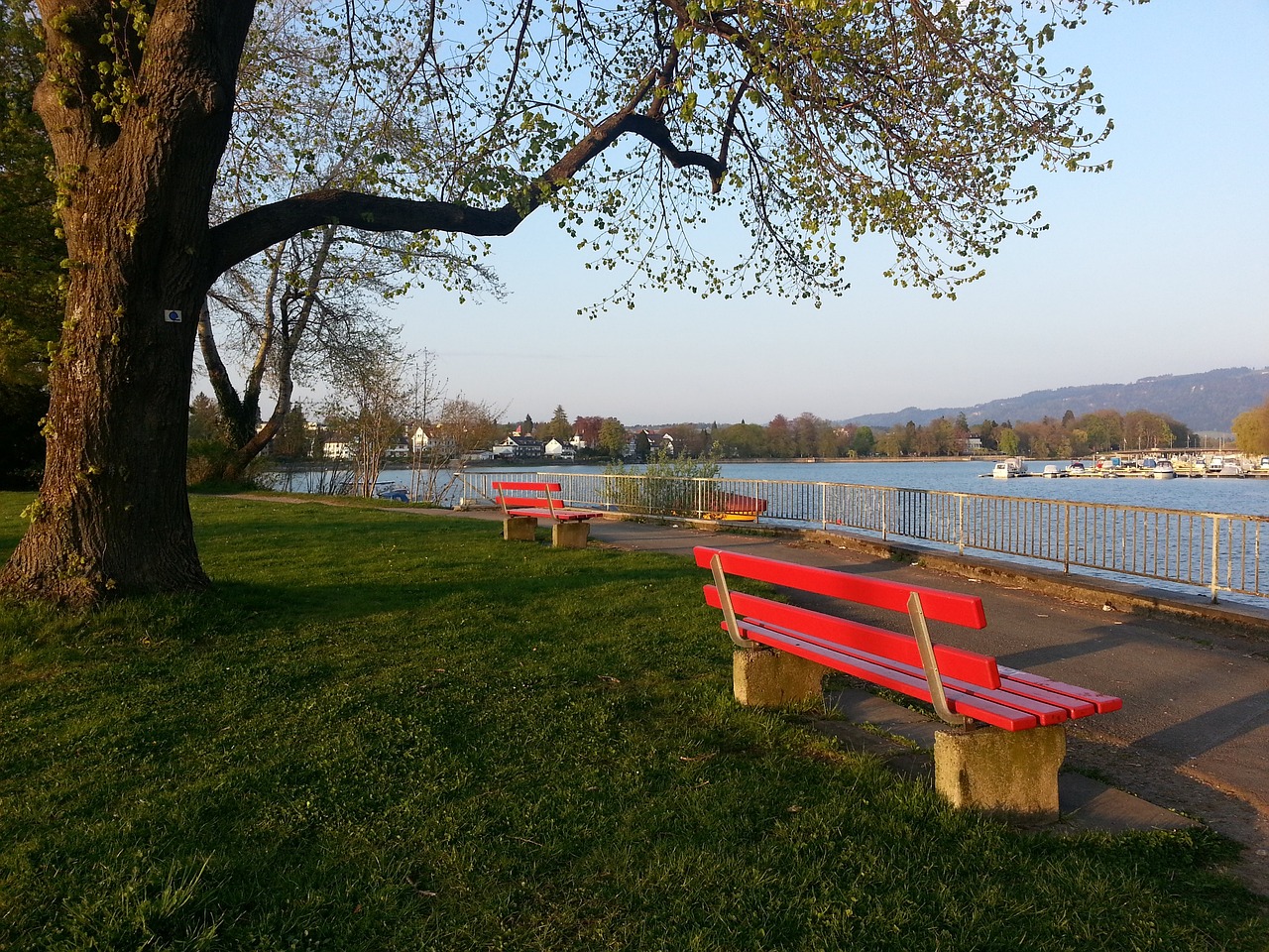 不仅激发了 不仅激发了